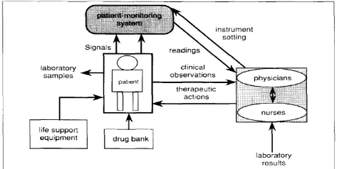 Fig 1. Patient monitoring and management environment elements. 