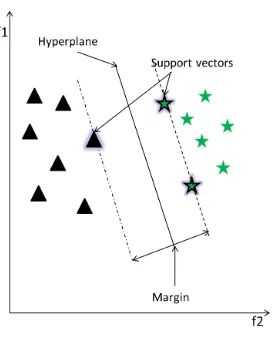 Figure 7: SVM linear separation
