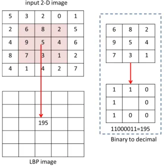 Figure 5: LBP image encoding of a 2-D image