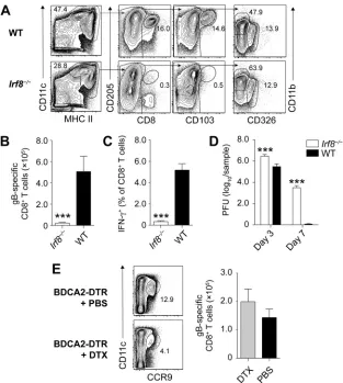 FIG 1 Irf8-dependent cells, but not pDC, are required for HSV-speciﬁc CD8Absolute number of gBsentative plots of DC and DC subsets enriched from the brachial LN of� T cell priming