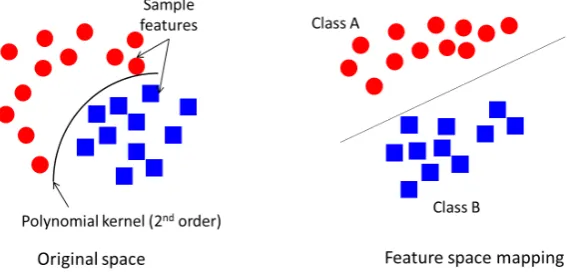 Figure 4. Support Vector Machine (SVM) linear space mapping using second-order polynomialkernel function.