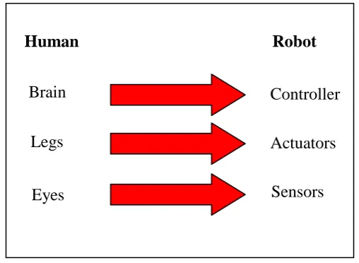 Figure 1.1: Robot Compare to human 