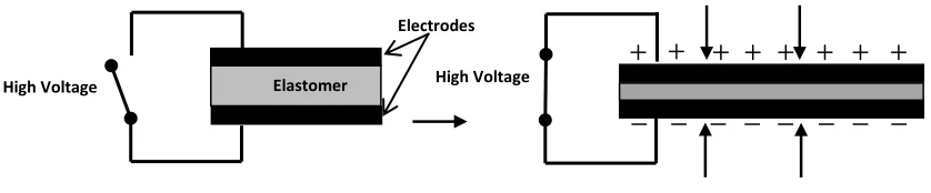 Figure 1: EAP construction and Operating principle 