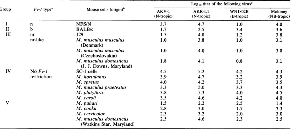 TABLE 1. Plaquing efficiency of ecotropic MuLVs in inbred strains and wild-derived mice