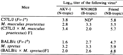 TABLE 3. Segregation of Gpd-J and sensitivity to ecotropic virusin (CS7L x M. musculus praetextus)F2 mice'~~~~~~~~~Logl0