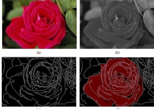 Figure 1. Color feature in CBIR 