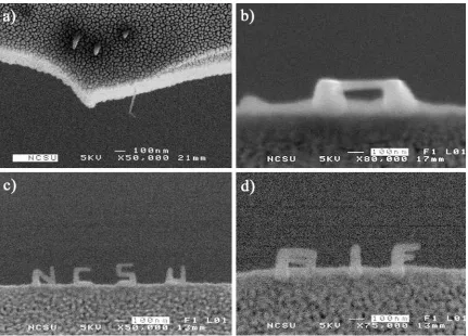 Figure 8.  a) Three vertical rods and a lateral scan off the cantilever (image view tilted slightly from growth orientation)