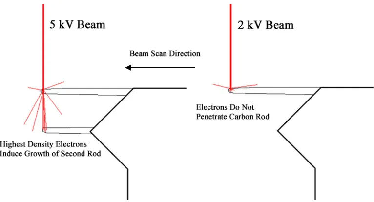 Figure 12.  Growth of more than one rod by a single scan of a 5 kV beam is depicted.  As the beam is scanned from right to left a second rod is deposited behind the first where the highest density of forward scattered electrons hits the substrate