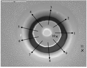 Figure 17.  Numbered arrows 1-9 indicate the position and orientation of the 9 laterally grown rods