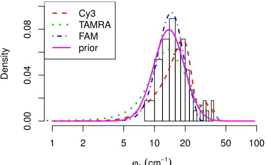 Figure 5: Informative priors for the scale parameters of Raman peaks, derivedfrom manual baseline correction and peak ﬁtting of Cy3, TAMRA and FAMspectra using Grams/AI 7.00.