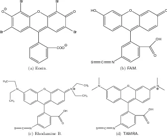 Figure 3: Chemical structures of eosin, ﬂuorescein (FAMtetramethylrhodamine (), rhodamine B, andTAMRA).