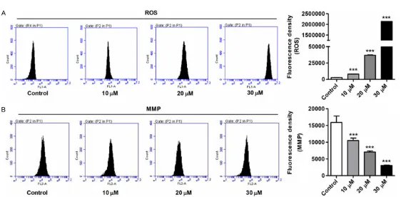 Figure 2. Effects of zerumbone on apoptosis of SiHa cells. The apoptotic rate of SiHa cells was significantly increased by zerumbone 10, 20 and 30 μM after 48 h incubation