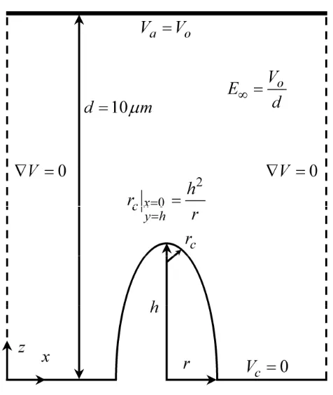 Figure 1. Planar diode geometry with ellipsoidal needle, appropriate boundary conditions approximating the experimental domain modeled and geometrical parameters