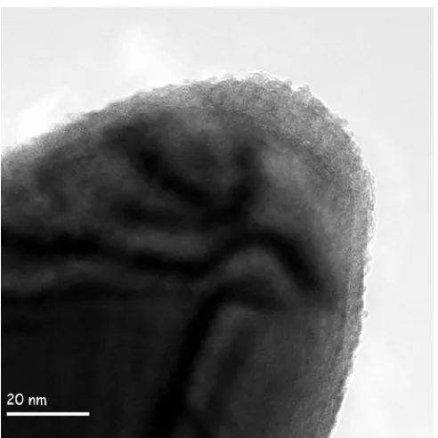 Figure 2. HRTEM profile of an electrochemically etched Mo needle exhibiting a nonhomogeneous profile with many surface features