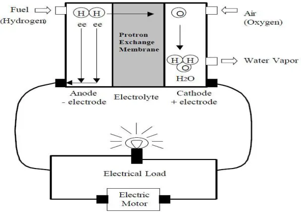 Figure 1. PEM Fuel Cell 