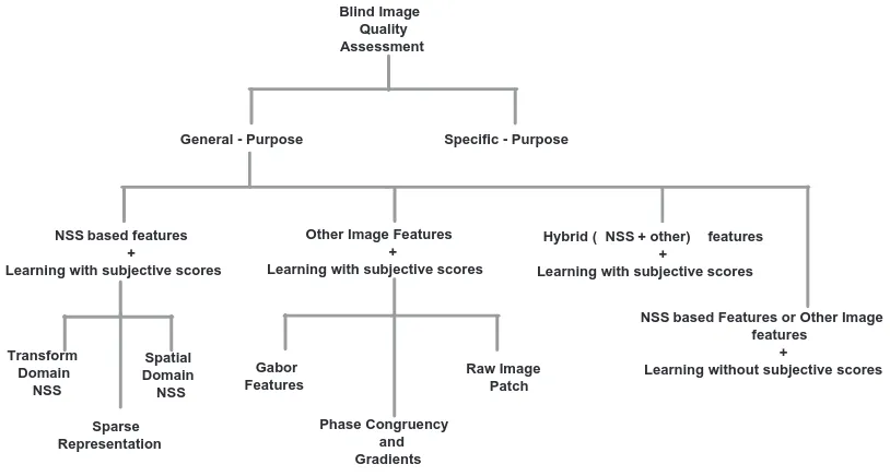 Figure 2.2: Diﬀerent types of BIQA methods.