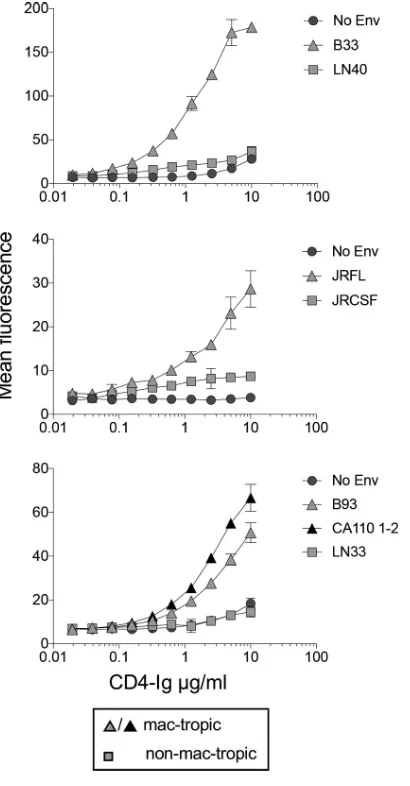 FIG 3 Titration of CD4-Ig binding to Env trimers. CD4-Ig binding to mac-tropic and non-mac-tropic R5Envs was titrated out