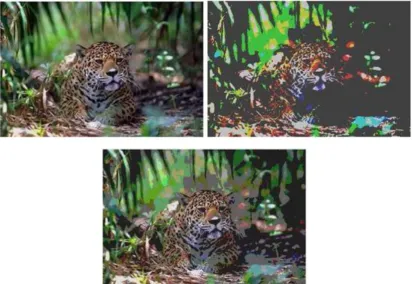 Figure 3.1.1.2:  From top to bottom: The original image using 2563 colors, quantized in 8 bins, and quantized in 64, bins using RGB color space
