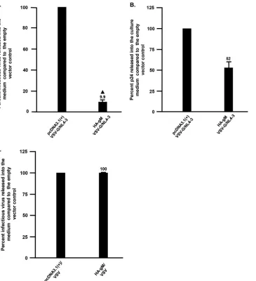FIG 4 HSV-1 gM restricts the production of infectious HIV-1 but not VSV. (A) Levels of infectious HIV-1 producedfrom cells transfected with the empty vector pcDNA3.1(�) or one expressing HA-gM and inoculated withVSV-G/NL4-3