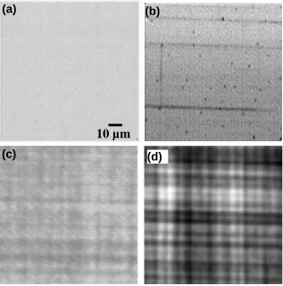Figure 1-9. EBIC micrographs of 100-nm-thick strained-Si/Si0.8Ge0.2/Si heterostructure: (a) 4 keV at 300 K; (b) 4 keV at 65 K; (c) 20 keV at 300 K; (d) 20 keV at 65 K [39]