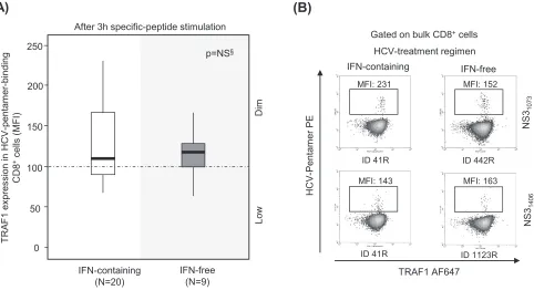 FIG 6 TRAF1 expression in pentamerrepresentative dot plots (B) showing the level of TRAF1 expression after 3 h of antigen-speciﬁc stimulation in HCV pentamer-binding CD8sustained virologic responders to interferon (IFN)-containing and -free regimens