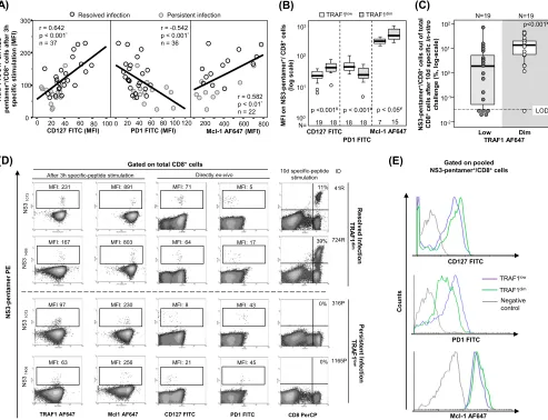 FIG 8 Correlation between TRAF1 expression, exhaustion phenotype, and reactivity of HCV pentamerchallenge, depending on the level of TRAF1 expression