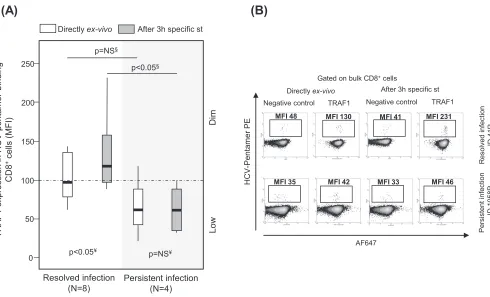 FIG 4 Pilot analysis of TRAF1 expression in pentamer3 h of speciﬁc stimulation. Box plots (A) and representative dot plots (B) from a preliminary analysis show the level of TRAF1 expression in HCVpentamer-binding CD8�/CD8� cells from patients with resolved
