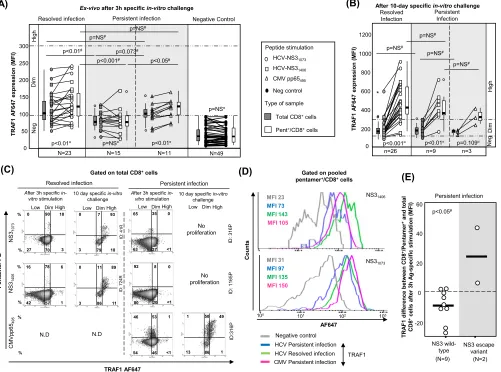 FIG 5 TRAF1 expression in pentamerthe percentage of cells in each area in reference to the number of total CD8expression in pentamer�/CD8� cells
