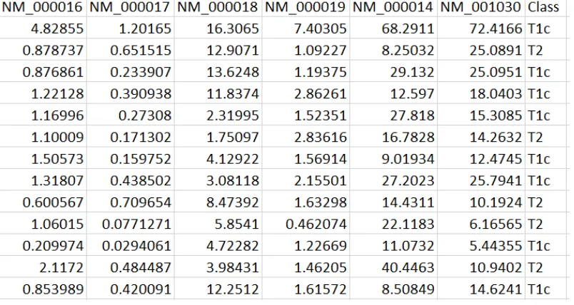 Figure 5.2: A sample input ﬁle for the classiﬁcation algorithm. This ﬁle is the output of the