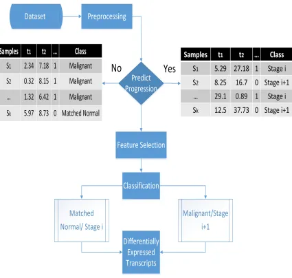 Figure 5.3: Pipeline of our method for matched normal versus malignant and prostate can-