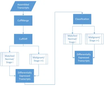 Figure 5.4: Workﬂow for the model we use for comparison.