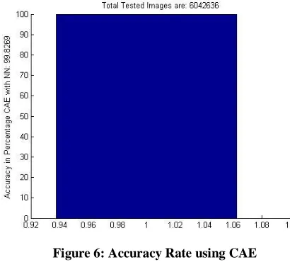 Figure 6: Accuracy Rate using CAE 