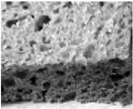 Figure 2.2 Close up of sample activated carbon 