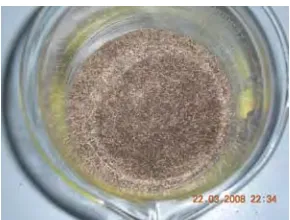 Figure 3.15 Sample of powder 