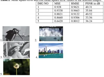 Figure 6. Selected Images  