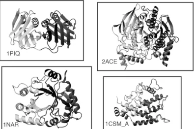 Figure 20.6. Examples of single domain, single architecture proteins in CATH (Jones et al., 1998), which STRUDL (Wernisch, Hunting, and Wodak, 1999) splits into two domains