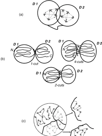 Figure 20.1. Illustration of the problem of parsing the protein 3D structure into structural domains.