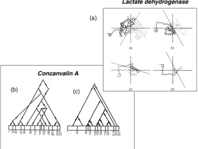 Figure 20.3. Illustration of the hierarchic partitioning of protein 3D structures into substructures performed by three of the early automatic domain analysis methods