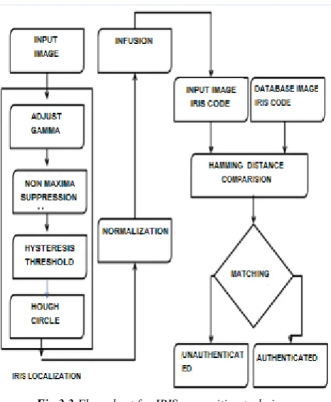 Fig 3.3 Flow chart for IRIS recognition technique  
