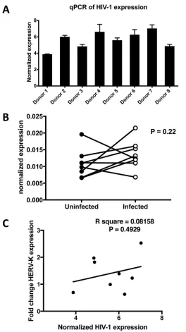 FIG 3 (A) Cells from all donors support HIV-1 infection. HIV-1-speciﬁc RT-qPCR was used to assess HIV-1cells