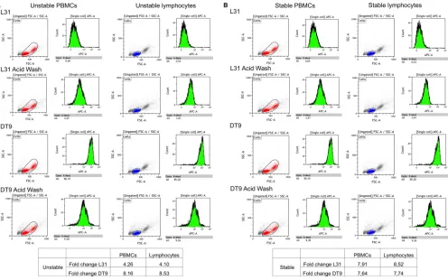 FIG 1 Flow cytometry analyses of HLA-C/�Fold change was calculated as the ratio of RMFIs after and prior to the acid wash for MAb L31 and as the ratio of RMFIs prior to and after the acid wash forMAb DT9