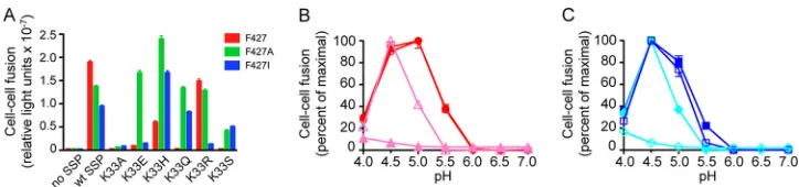 FIG 5 Attenuating F427I mutation rescues the fusion deﬁciency engendered by the K33S substitution