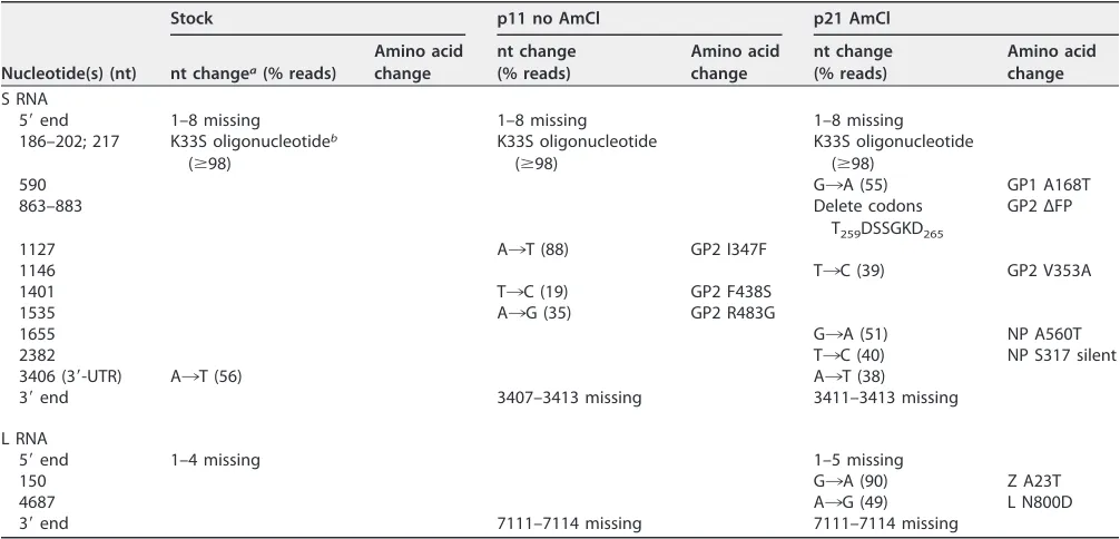 TABLE 1 Nucleotide changes in K33S-GPC rCan upon serial passage in the presence and absence of 1 mM AmCl