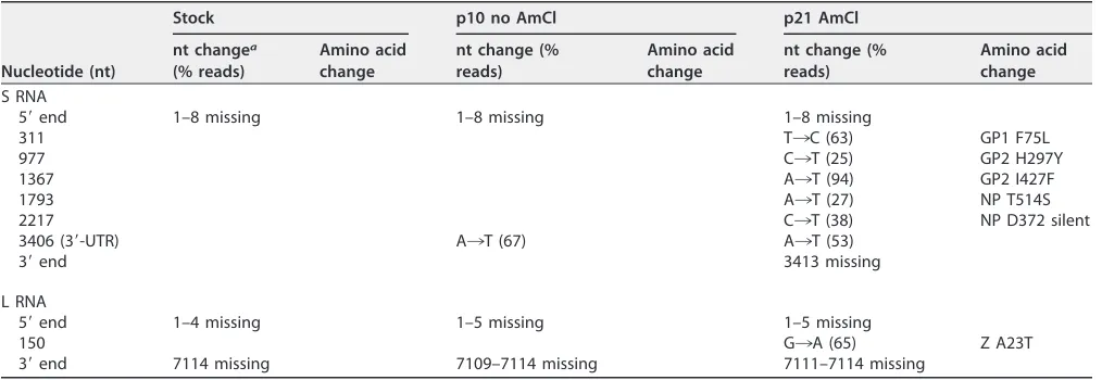 TABLE 2 Nucleotide changes in parental rCan upon serial passage in the presence and absence of 1 mM AmCl