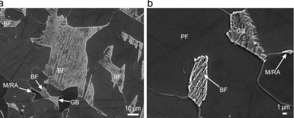 Figure 11 Typical SEM images of (a) overview and (b) small second phase regions after holding at 350 °C for  900  s  (15  min)