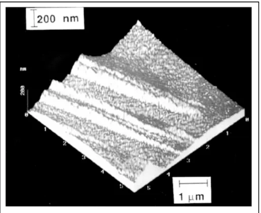 Figure 1-5 Image taken by atomic force microscope showing the  displacements as a result of formation of bainite on a polished surface 