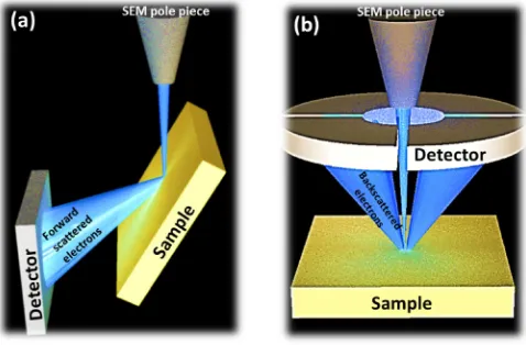 Fig. 3 have an area of �5 lm2, corresponding to the spacing