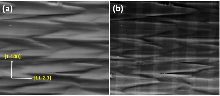 FIG. 4. ECCI acquired in the forescat-ter geometry revealing basal planestacking faults (BSFs)