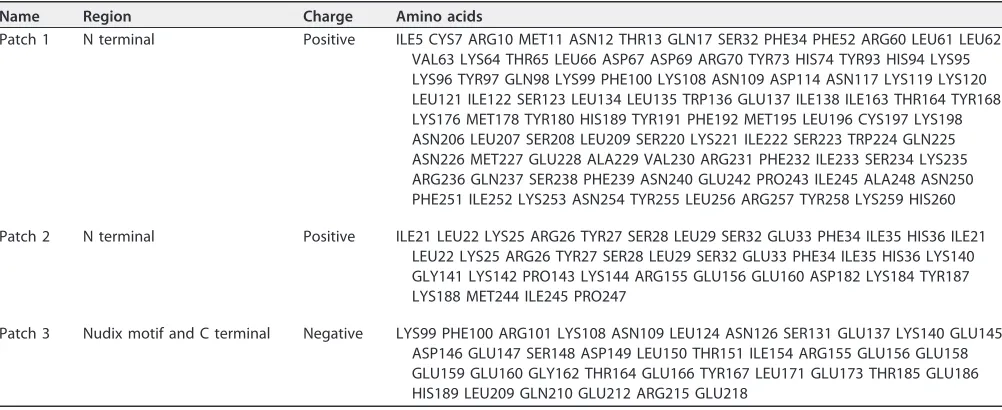 TABLE 2 Amino acids present in the electrostatic patches at the surface of ASFV-DP