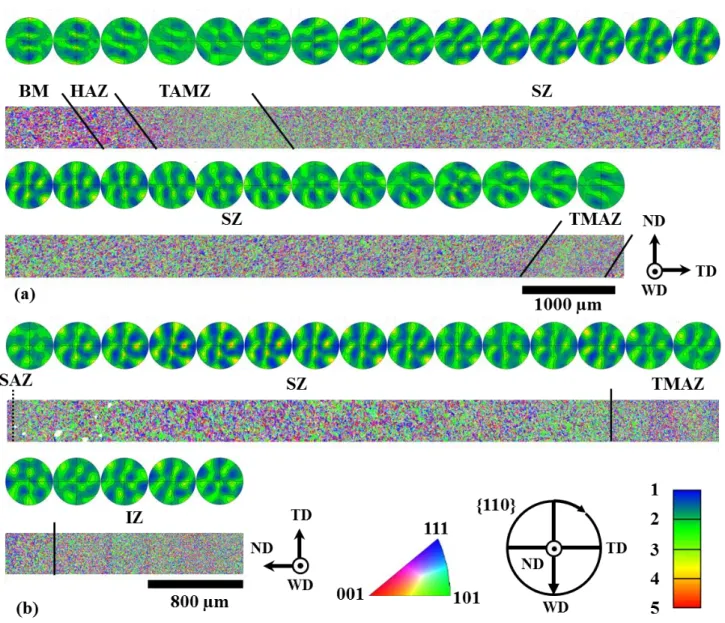 Figure 7: EBSD IPF colouring maps with respect to the ND (a) across the TMAZ and SZ of the second weld  pass,  and  (b)  from  the  SAZ  to  the  centre  of  IZ  of  the  second  weld  pass,  with  their  associated  (110)  pole  figures in 500 µm steps fo
